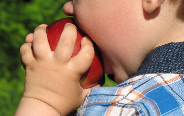 obesidade infantil